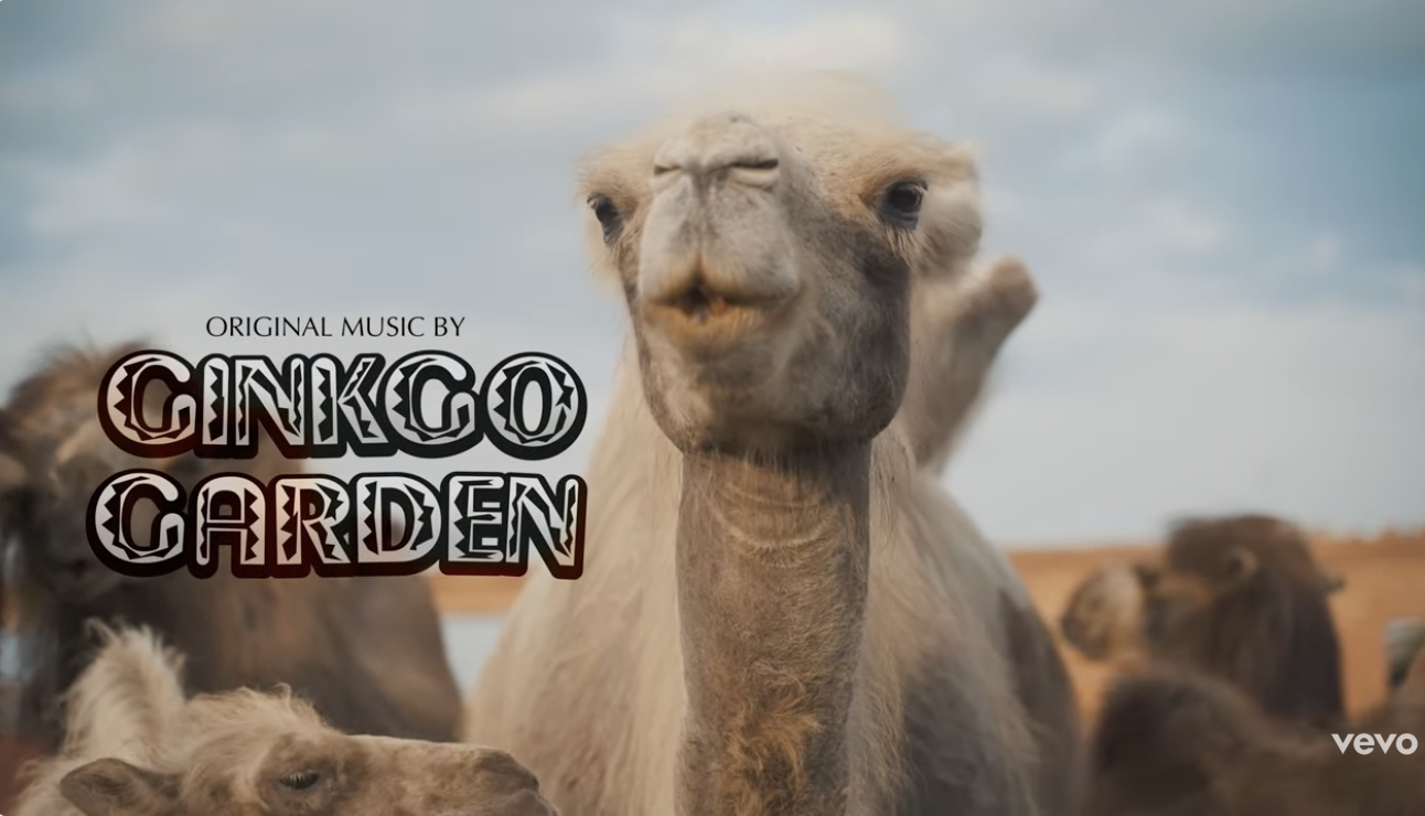 Ginkgo Garden - Secret Call