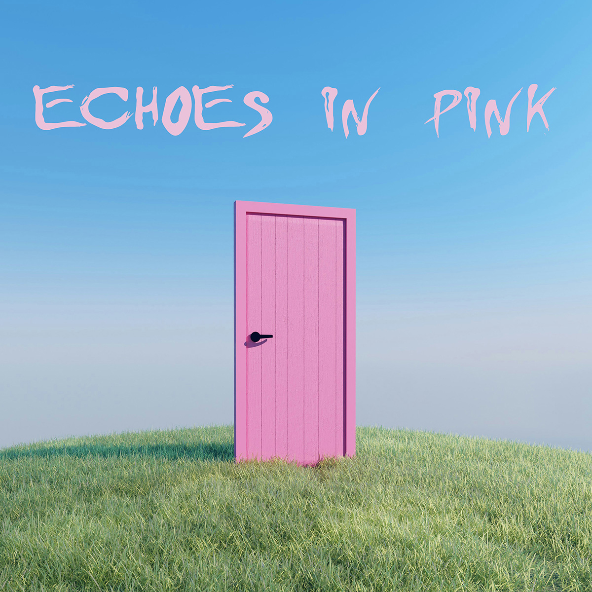 Various Artists - Echoes in Pink (Rel. 12.6.2026)